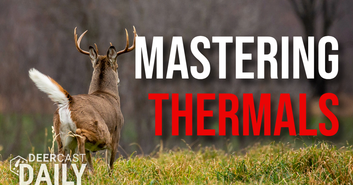 DeerCast Daily: Mastering Thermals